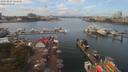 ./images/victoria/wharf/20190824/wharf20190824_124953.jpg