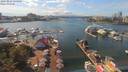 ./images/victoria/wharf/20190824/wharf20190824_144955.jpg