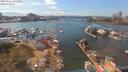 ./images/victoria/wharf/20190824/wharf20190824_151450.jpg