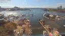 ./images/victoria/wharf/20190824/wharf20190824_155956.jpg
