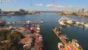 ./images/victoria/wharf/20190825/wharf20190825_124957.jpg