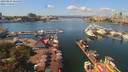 ./images/victoria/wharf/20190825/wharf20190825_125450.jpg