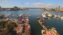 ./images/victoria/wharf/20190825/wharf20190825_131453.jpg