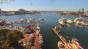 ./images/victoria/wharf/20190827/wharf20190827_142953.jpg