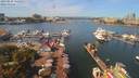 ./images/victoria/wharf/20190828/wharf20190828_121953.jpg