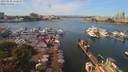 ./images/victoria/wharf/20190828/wharf20190828_122959.jpg