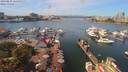 ./images/victoria/wharf/20190828/wharf20190828_124952.jpg