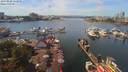 ./images/victoria/wharf/20190828/wharf20190828_132958.jpg