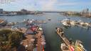 ./images/victoria/wharf/20190828/wharf20190828_135454.jpg