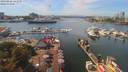 ./images/victoria/wharf/20190828/wharf20190828_141436.jpg
