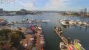 ./images/victoria/wharf/20190828/wharf20190828_141950.jpg