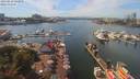 ./images/victoria/wharf/20190828/wharf20190828_142955.jpg