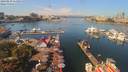 ./images/victoria/wharf/20190829/wharf20190829_115954.jpg