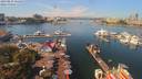 ./images/victoria/wharf/20190829/wharf20190829_121453.jpg