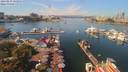 ./images/victoria/wharf/20190829/wharf20190829_121956.jpg