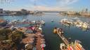 ./images/victoria/wharf/20190829/wharf20190829_124954.jpg