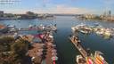 ./images/victoria/wharf/20190829/wharf20190829_131952.jpg