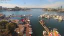 ./images/victoria/wharf/20190829/wharf20190829_135958.jpg