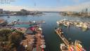 ./images/victoria/wharf/20190829/wharf20190829_140451.jpg
