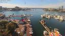 ./images/victoria/wharf/20190829/wharf20190829_140954.jpg