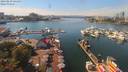 ./images/victoria/wharf/20190829/wharf20190829_141457.jpg