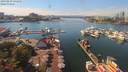 ./images/victoria/wharf/20190829/wharf20190829_141950.jpg