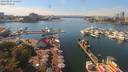 ./images/victoria/wharf/20190829/wharf20190829_142453.jpg