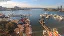./images/victoria/wharf/20190829/wharf20190829_144959.jpg