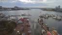 ./images/victoria/wharf/20190829/wharf20190829_161459.jpg