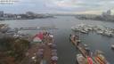 ./images/victoria/wharf/20190829/wharf20190829_171456.jpg
