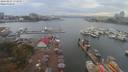 ./images/victoria/wharf/20190829/wharf20190829_171959.jpg