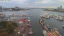 ./images/victoria/wharf/20190829/wharf20190829_172954.jpg