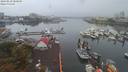 ./images/victoria/wharf/20190830/wharf20190830_080949.jpg