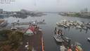 ./images/victoria/wharf/20190830/wharf20190830_081954.jpg