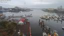 ./images/victoria/wharf/20190830/wharf20190830_085959.jpg