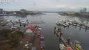 ./images/victoria/wharf/20190830/wharf20190830_124458.jpg