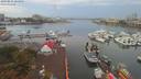 ./images/victoria/wharf/20190831/wharf20190831_064954.jpg