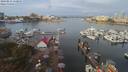 ./images/victoria/wharf/20190831/wharf20190831_110954.jpg