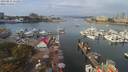 ./images/victoria/wharf/20190831/wharf20190831_111950.jpg