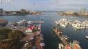 ./images/victoria/wharf/20190831/wharf20190831_114958.jpg
