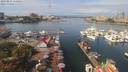 ./images/victoria/wharf/20190831/wharf20190831_115955.jpg
