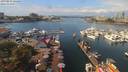 ./images/victoria/wharf/20190831/wharf20190831_124453.jpg