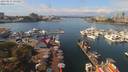 ./images/victoria/wharf/20190831/wharf20190831_124957.jpg