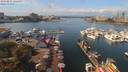 ./images/victoria/wharf/20190831/wharf20190831_125450.jpg