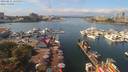 ./images/victoria/wharf/20190831/wharf20190831_125953.jpg