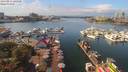 ./images/victoria/wharf/20190831/wharf20190831_132449.jpg