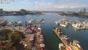 ./images/victoria/wharf/20190831/wharf20190831_133959.jpg
