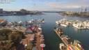 ./images/victoria/wharf/20190831/wharf20190831_134452.jpg