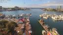 ./images/victoria/wharf/20190831/wharf20190831_135449.jpg