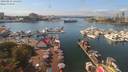 ./images/victoria/wharf/20190831/wharf20190831_141452.jpg
